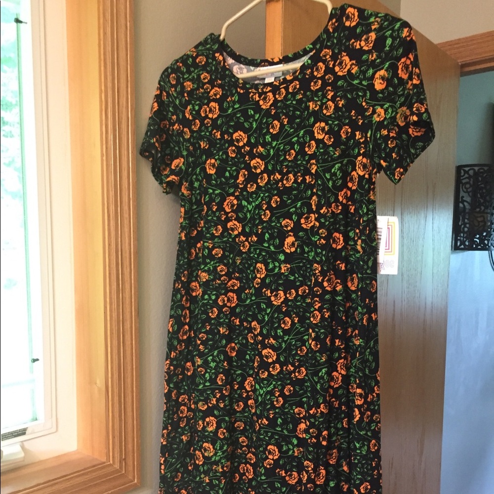 NWT LLR Carly dress